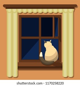 Vector illustration of the cat sitting on the window at night. Flat style.