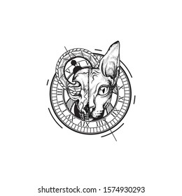 vector illustration of a cat skull in the style of an astronomer, hand drawing