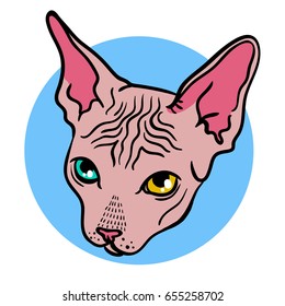 Vector illustration with a cat sphinx. Color image with the animal's head, portrait, fashionable youth print. Suitable for clothes, posters, notepads
