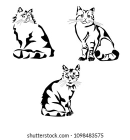 Vector illustration of a cat stencil, tattoo, 