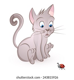 Vector illustration of cat storit to a bug