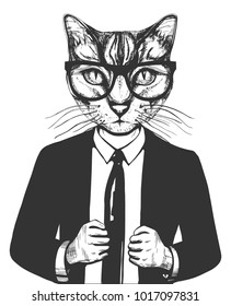 Vector illustration of a cat in suit and glasses. Successful businessman character in hand drawn vintage style.