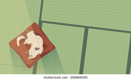 vector illustration of a cat and a tatami mat