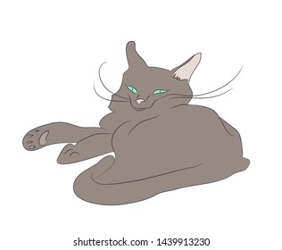 vector illustration of a cat that lies drawing color, vector, white background
