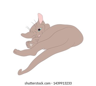 vector illustration of a cat that lies drawing color, vector, white background