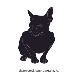 vector illustration of a cat that sits, drawing silhouette, white background