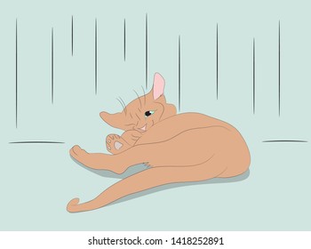 vector illustration of a cat that sleeps in a room, vector