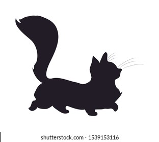 vector illustration of a cat that is walking, drawing silhouette, vector, white background