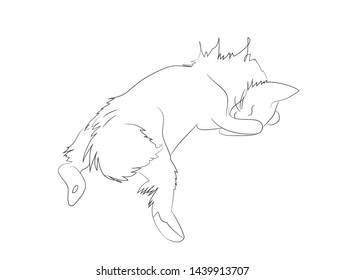 vector illustration of a cat which lies, vector, white background