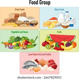 Ilustración vectorial que clasifica los alimentos de granos, lácteos, verduras, frutas y carnes magras con colores vibrantes, estilo plano y secciones etiquetadas