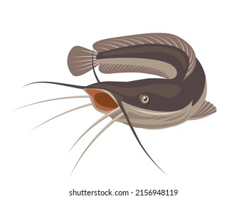 Vector illustration of catfish, isolated on white background, suitable as a label for processed fish products or fishing hobbies.