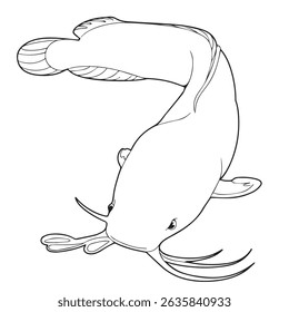 ilustração vetorial de catfish em aparências de contorno