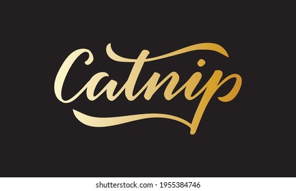 Vector illustration of catnip lettering for packages, product design, banners, stickers, spice shop price list and  decoration. Handwritten isolated word for web or print
