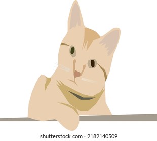 vector illustration of cat.pet. adopt a cat, vector illustration.