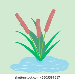 Vector illustration of cattails by a water pond in minimalist style with green leaves and brown stalks on soft pastel background. Cartoon, doodle, adorable, vector concept.