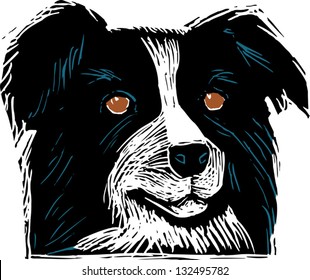 Vector illustration of a cattle dog