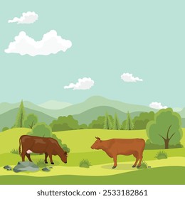 Vector illustration of cattle farming in green field. Cartoon flat style of cow in grass field. Agriculture farm domestic animal in farm land. Dairy livestock for poster, infographic, kids illustrate