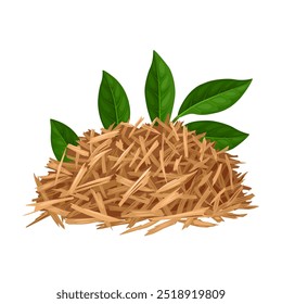 Vector illustration of Catuaba bark with green leaves, scientific name Trichilia catigua, isolated on white background.