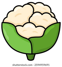 Vector Illustration of a Cauliflower 