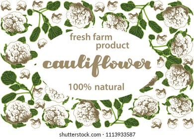 vector illustration of cauliflower and leaf design with lettering cauliflower background white and vegetable and text fresh farm product 100% natural EPS10