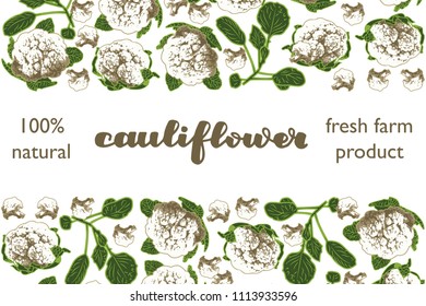 vector illustration of cauliflower and leaf design with lettering cauliflower background white and vegetable and text fresh farm product 100% natural EPS10