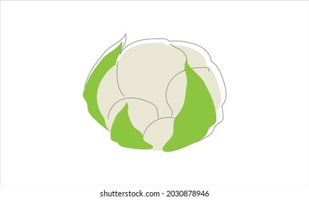 Vector illustration of cauliflower - ripe vegetable, organic food. Icon, logo template for many purposes isolated on white background.