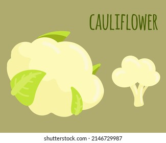 Vector illustration of a cauliflower. Whole vegetable and cut. Suitable for any designs and decorations related to organic food, vegetarian, vegan and garden.