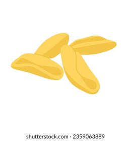 Ilustración vectorial del tipo cavatelli de pasta aislada en fondo blanco
