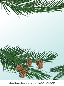 Vector illustration of a cedar branch with cones. Natural color background