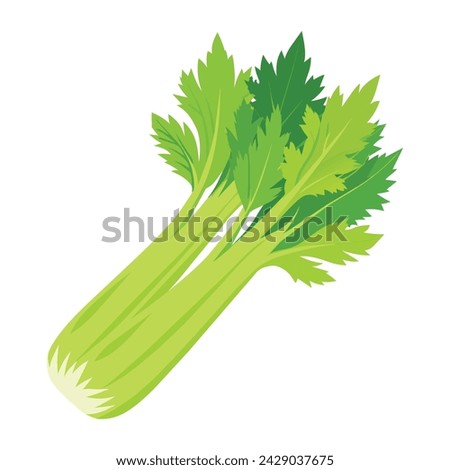 Vector of illustration celery on white