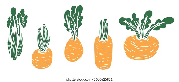 Vector illustration of celery root in cartoon flat style different shapes. Set of fresh vegetables plants for healthy food. Collection design elements for child textile print, stamp, kids book.