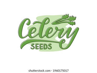 Vector illustration of celery seeds lettering for packages, product design, banners, stickers, spice shop price list and  decoration. Handwritten isolated word with floral drawing for web or print
