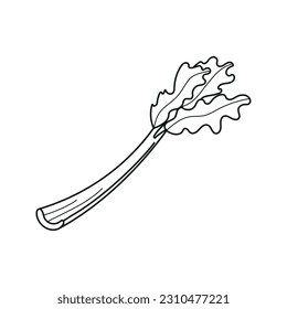 Vector illustration of celery stalk in doodle style.