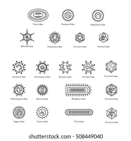 Vector illustration of cells of microorganisms, viruses, DNA and RNA. Cells of different pathogens and viruses drawn in a linear style, are icons of the cells.
