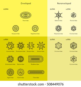 Vector illustration of cells of microorganisms, viruses, DNA and RNA. Cells of different pathogens and viruses drawn in a linear style, are icons of the cells.