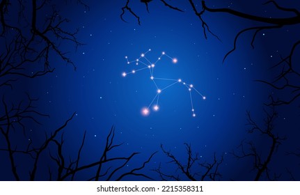 Vector illustration Centaurus constellation. Tree branches, dark blue starry sky, cosmos. Illustration of constellation scheme Centaurus