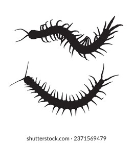 Vector Illustration of a Centipede Silhouette Art