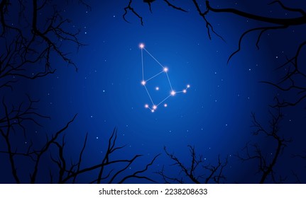 Vector illustration Cepheusconstellation. Tree branches, dark blue starry sky, cosmos. Illustration of constellation scheme Cepheus