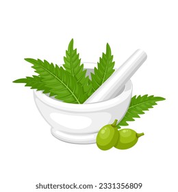 Vector illustration, ceramic mortar and pestle, with neem leaves and berries, isolated on a white background.