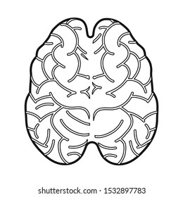 Vector illustration of cerebrum and hemisphere logo. Web element of cerebrum and gyri stock symbol for web.