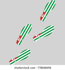 Vector illustration of chain of trails of shoes isolated on grey background, painted in the colors of national flag of Abkhaziya