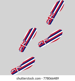 Vector illustration of chain of trails of shoes isolated on grey background, painted in the colors of national flag of Hawaii
