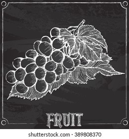 Vector illustration chalk drawing with bunch of grapes