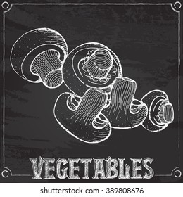 Vector illustration chalk drawing of champignons mushrooms