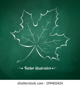 Vector illustration of chalkboard drawing of autumn leaf.