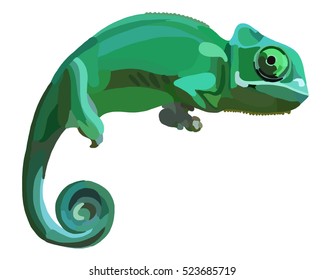 Vector Illustration of a Chameleon
