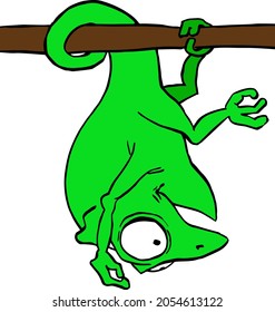 vector illustration of a chameleon hanging upside down on its tail. t-shirt print