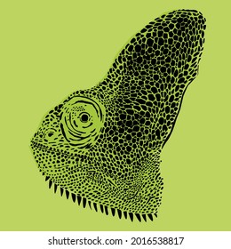 Vector illustration of chameleon head 