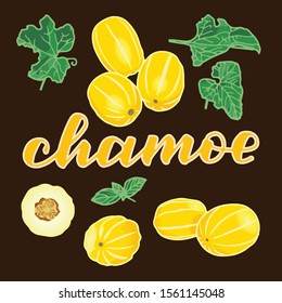 vector illustration of chamoe and leaf isolated with lettering chamoe background brown EPS10