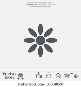 Vector Illustration Chamomile